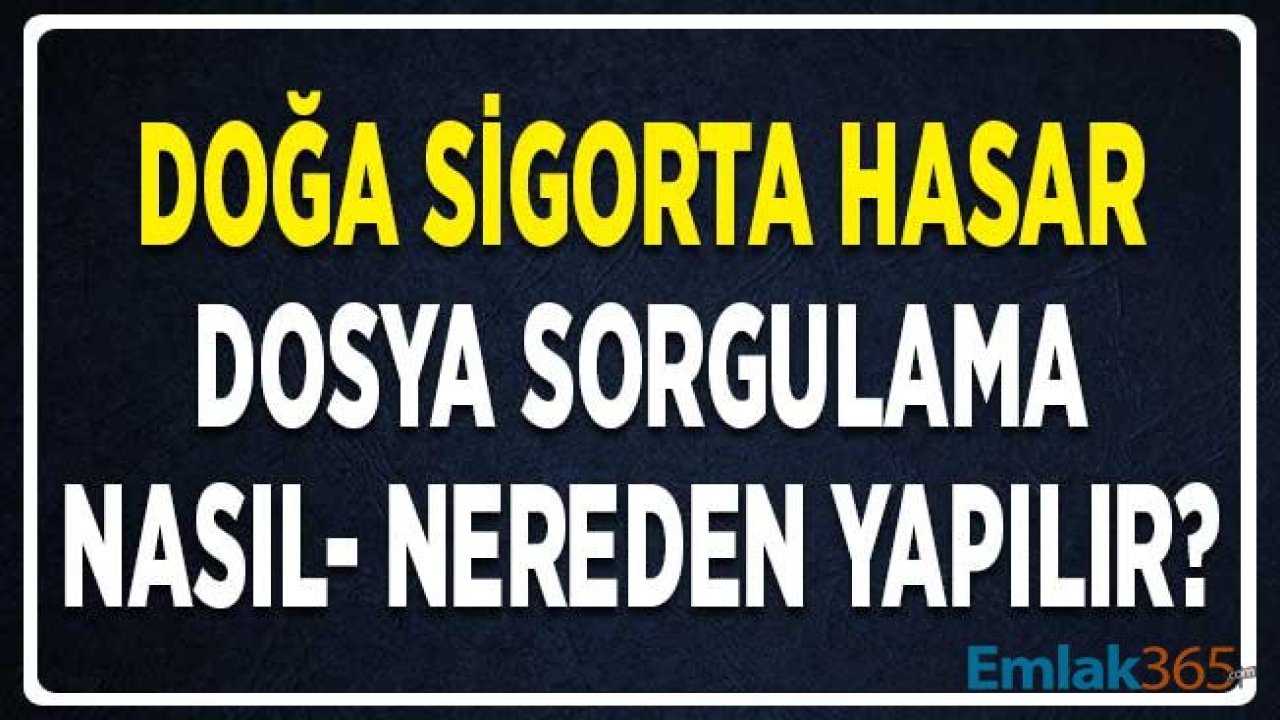 Doğa Sigorta Hasar Dosya Sorgulama Nasıl Yapılır ve Nereden Öğrenilir?