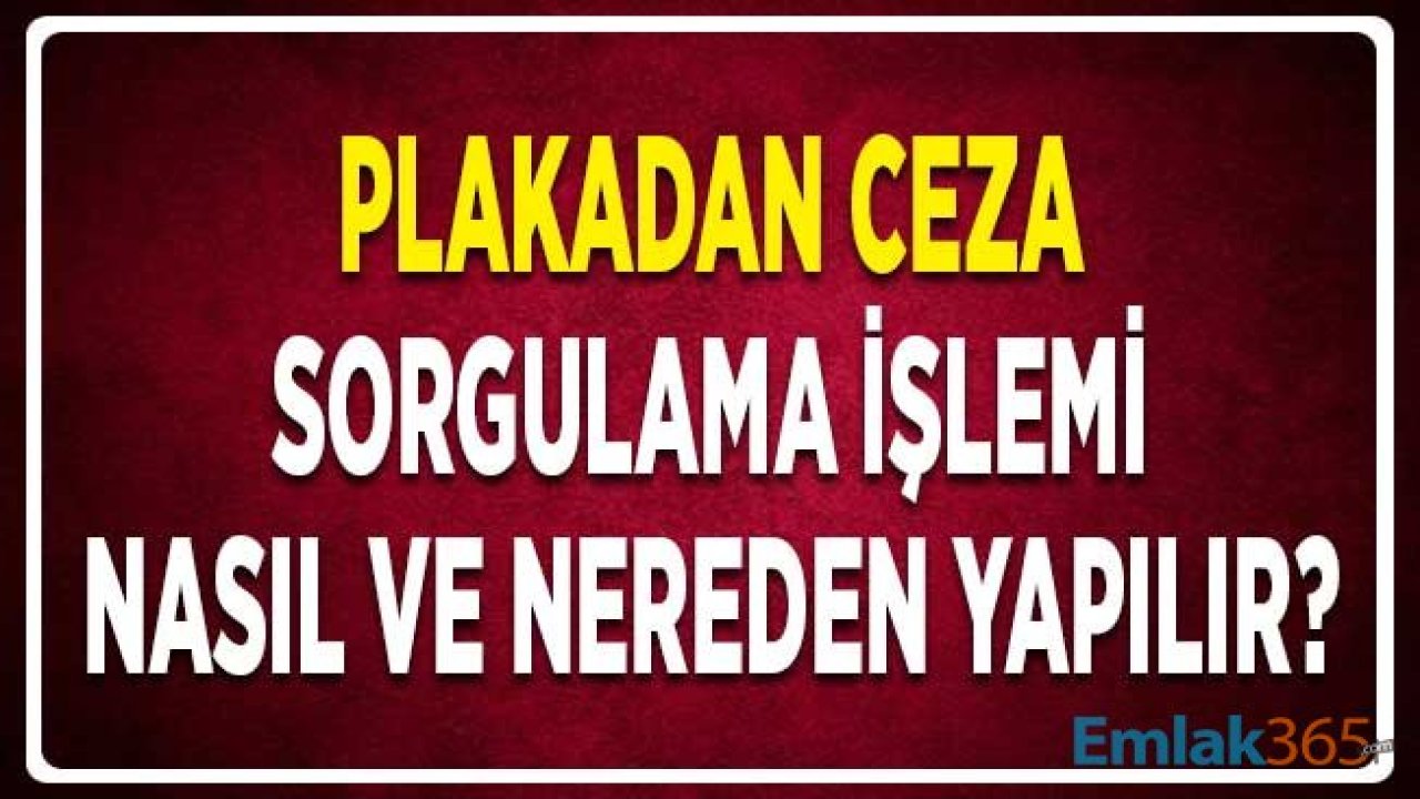 Plakadan Ceza Sorgulama Nasıl Yapılır? Trafik Cezası Sorgulama İşlemi Nereden Öğrenilir?