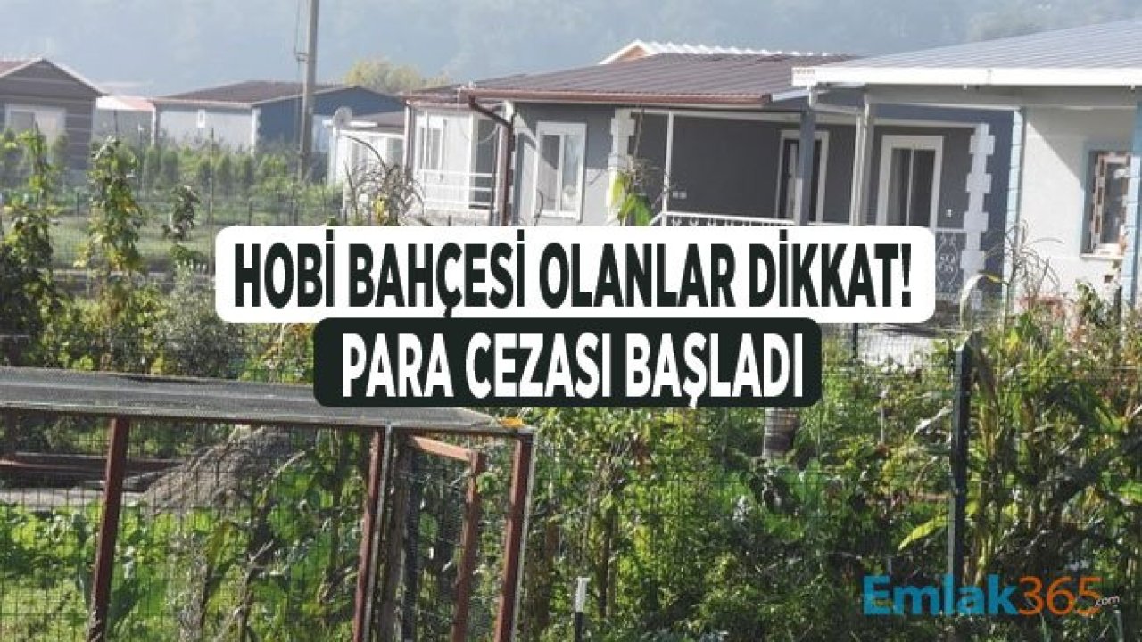 Hobi Bahçesi Olanlar Dikkat, Binlerce Liralık Para Cezası Kesilmeye Başlandı!