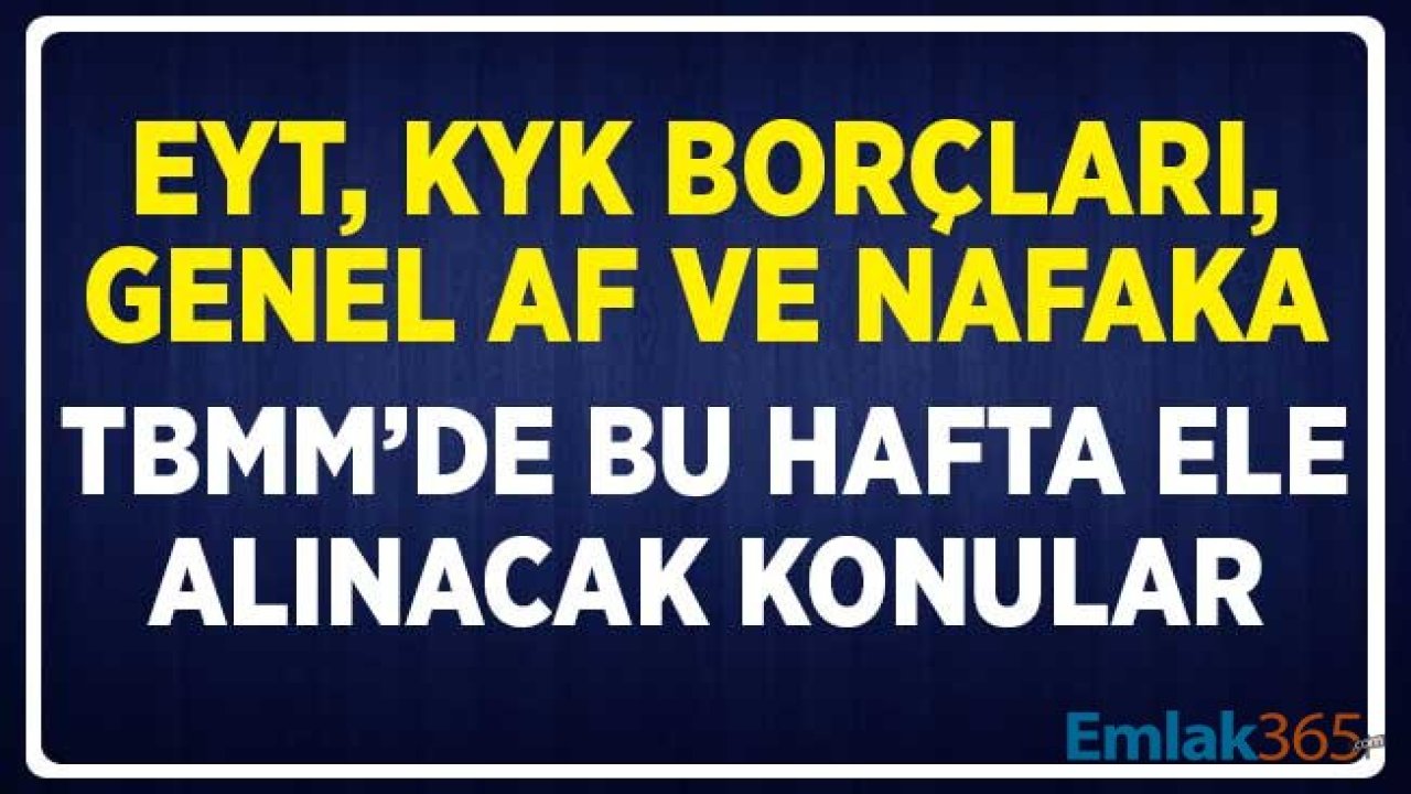 EYT, KYK Borçları, Genel Af ve Nafaka! TBMM Genel Kurulu'da Haftanın Gündem Maddeleri