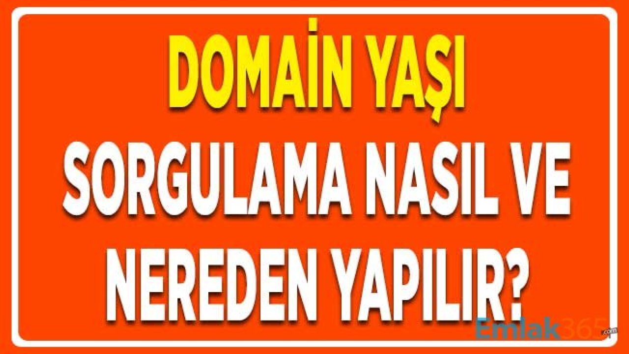 Domain Yaşı Sorgulama Nereden ve Nasıl Yapılır? Domain Whois Bilgileri