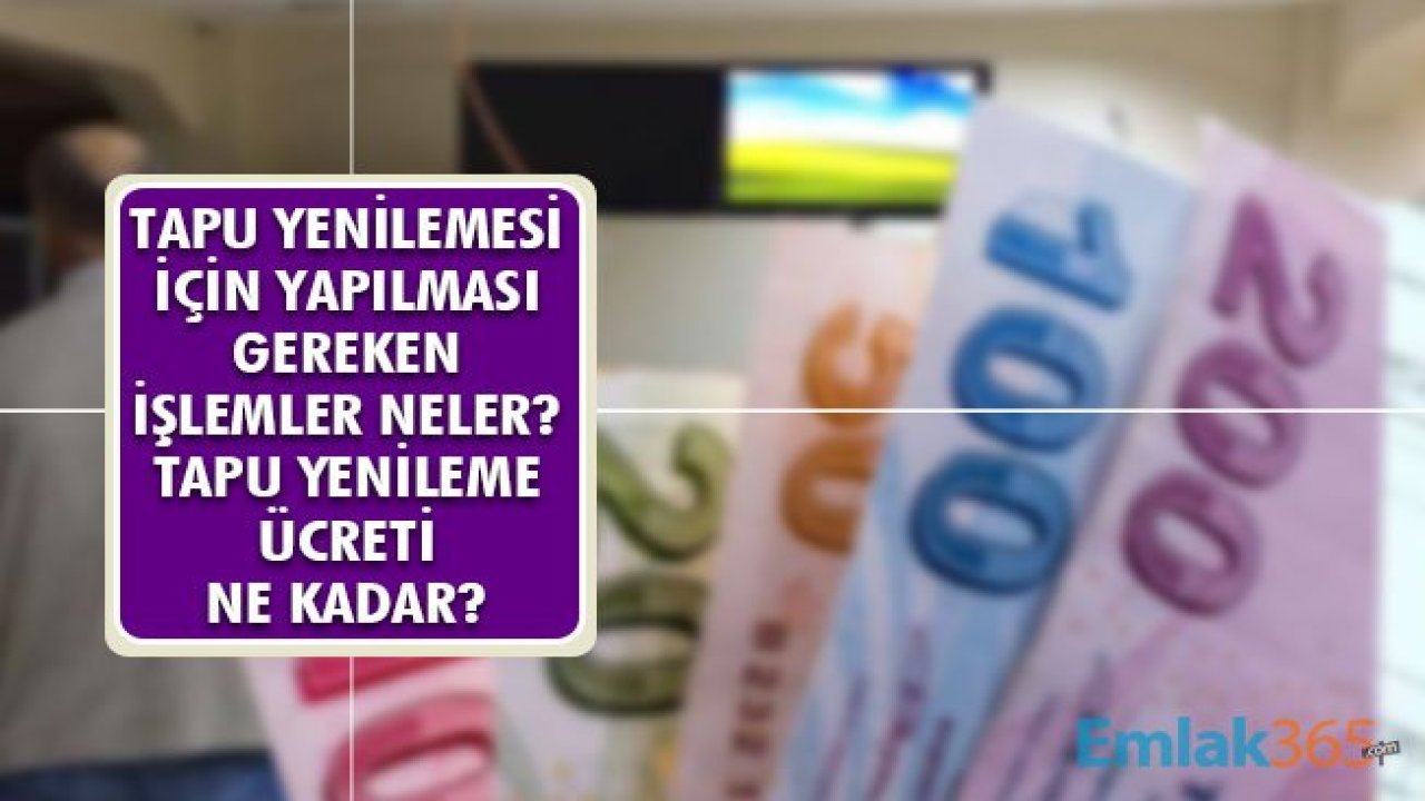 Tapu Yenilemesi için Yapılması Gereken İşlemler Neler?