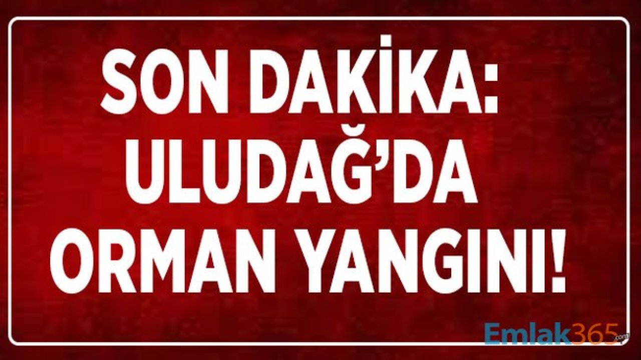 SON DAKİKA: Bursa Uludağ Erikli Yaylası Yanıyor! Orman Yangını Şiddetli Lodos İle Yayıldı