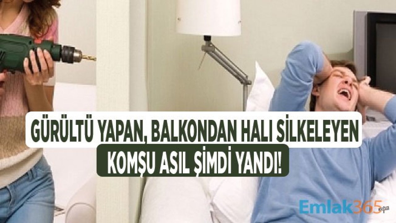 Apartmanda Köpek Besleyen, Gürültü Yapan Komşu ile Balkondan Halı Silkmek Çırpmak Hapis Cezası Nedeni!