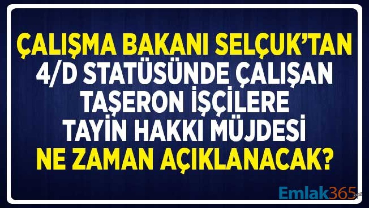 Çalışma Bakanı Selçuk'tan Taşeron İşçilere Tayin Hakkı Müjdesi Ne Zaman Açıklanacak?