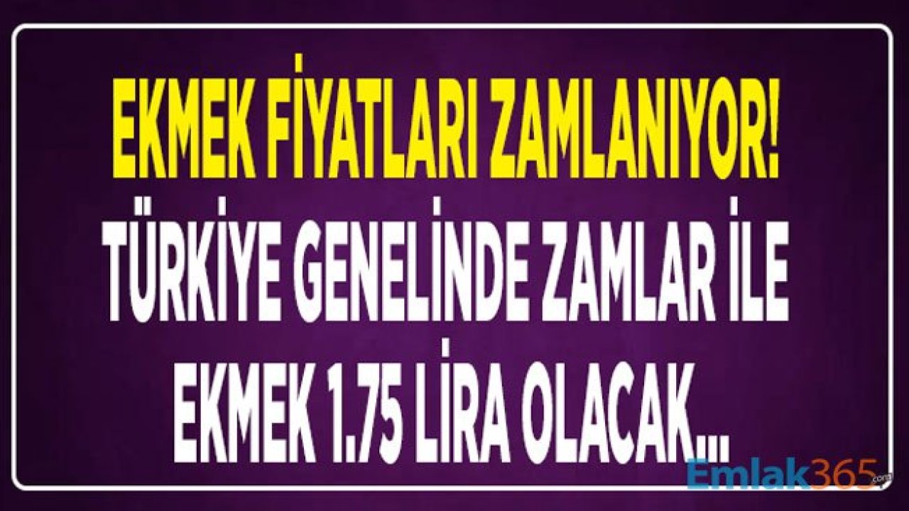 Ekmeğe Yeni Zam Haberi: Zamlı Ekmek Fiyatları 1.75 Lira Olacak!