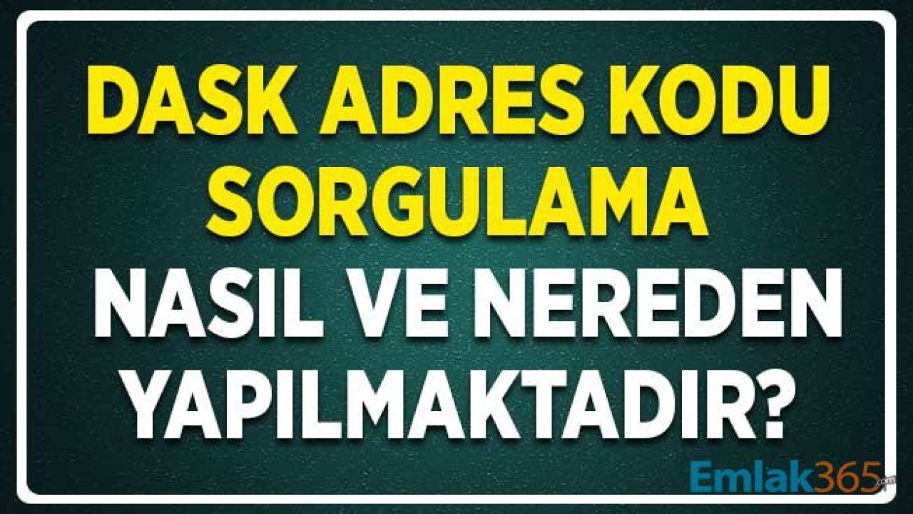 DASK Adres Kodu Sorgulama Nereden ve Nasıl Yapılır?