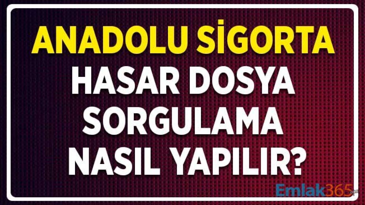 Anadolu Sigorta Hasar Dosya Sorgulama Nasıl Yapılır ve Nereden Öğrenilir?