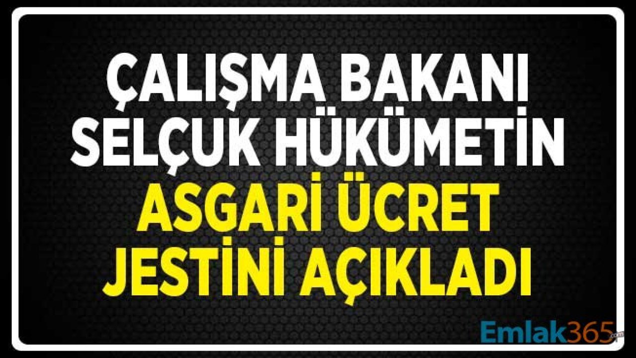 SON DAKİKA... Çalışma Bakanı Selçuk Hükümetin Asgari Ücret Jestini Açıkladı