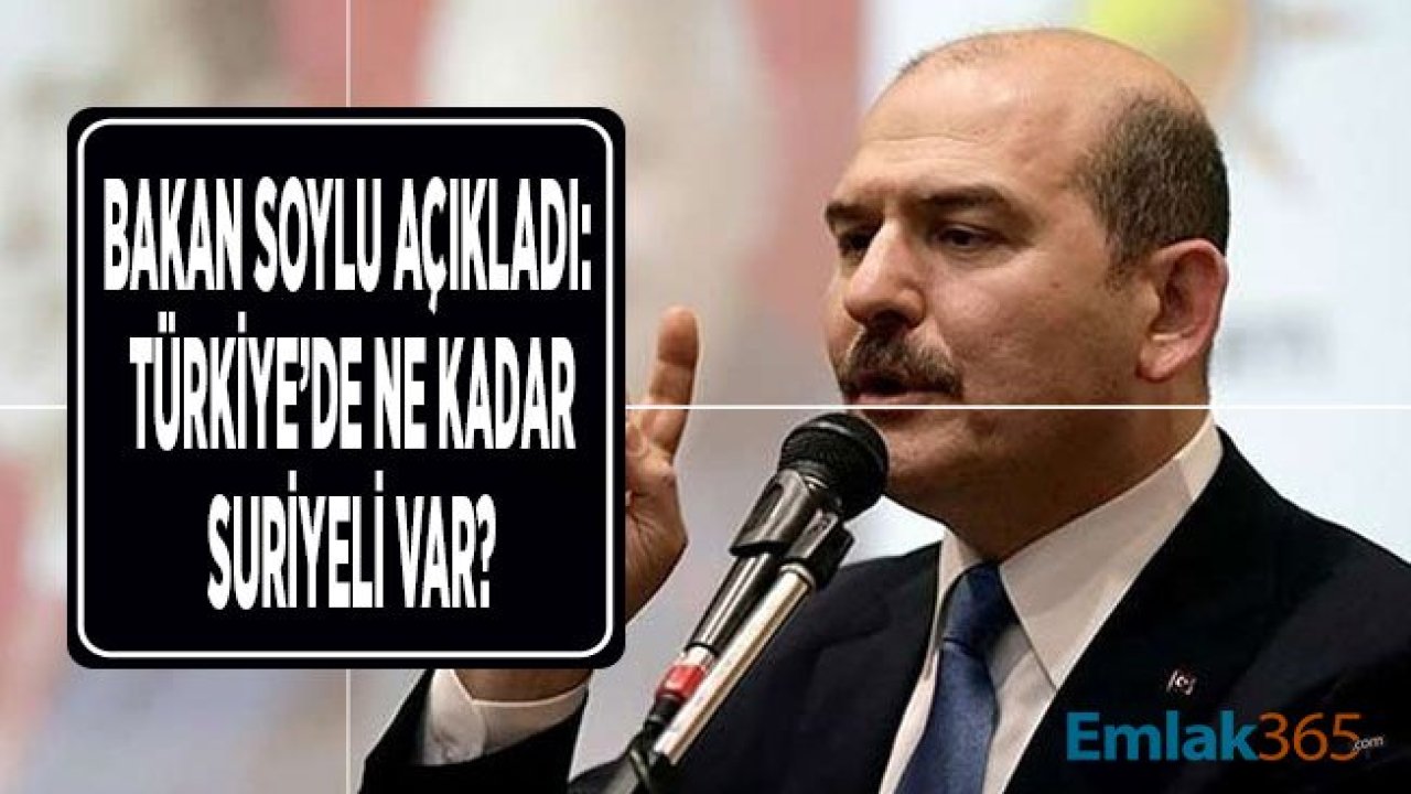 Süleyman Soylu Açıkladı! Türkiye'de Ne Kadar Suriyeli Var?