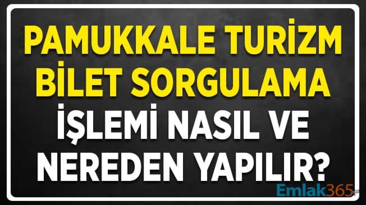 Pamukkale Turizm Bilet Sorgulama İşlemi Nasıl ve Nereden Yapılır?