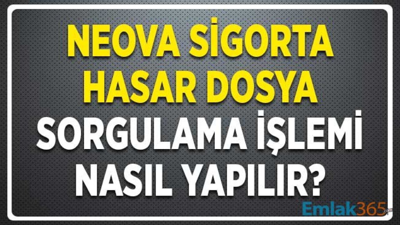 Neova Sigorta Hasar Dosya Sorgulama Nasıl Yapılır ve Nereden Öğrenilir?