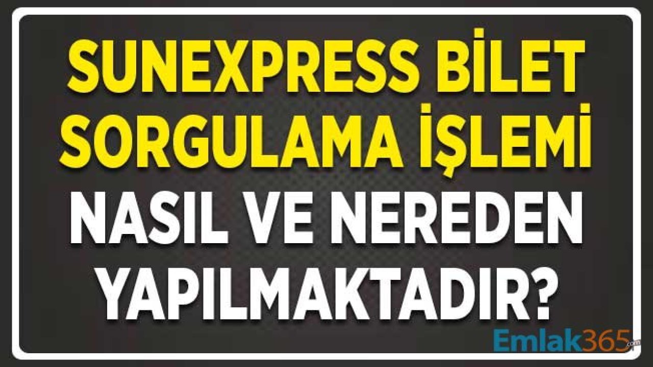 Sunexpress Bilet Sorgulama İşlemi Nereden ve Nasıl Yapılır?