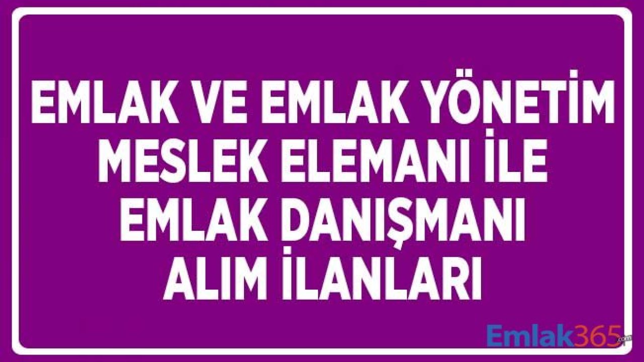 İŞKUR Emlak Ve Emlak Yönetimi Meslek Elemanı/Emlak Danışmanı Alım İlanları