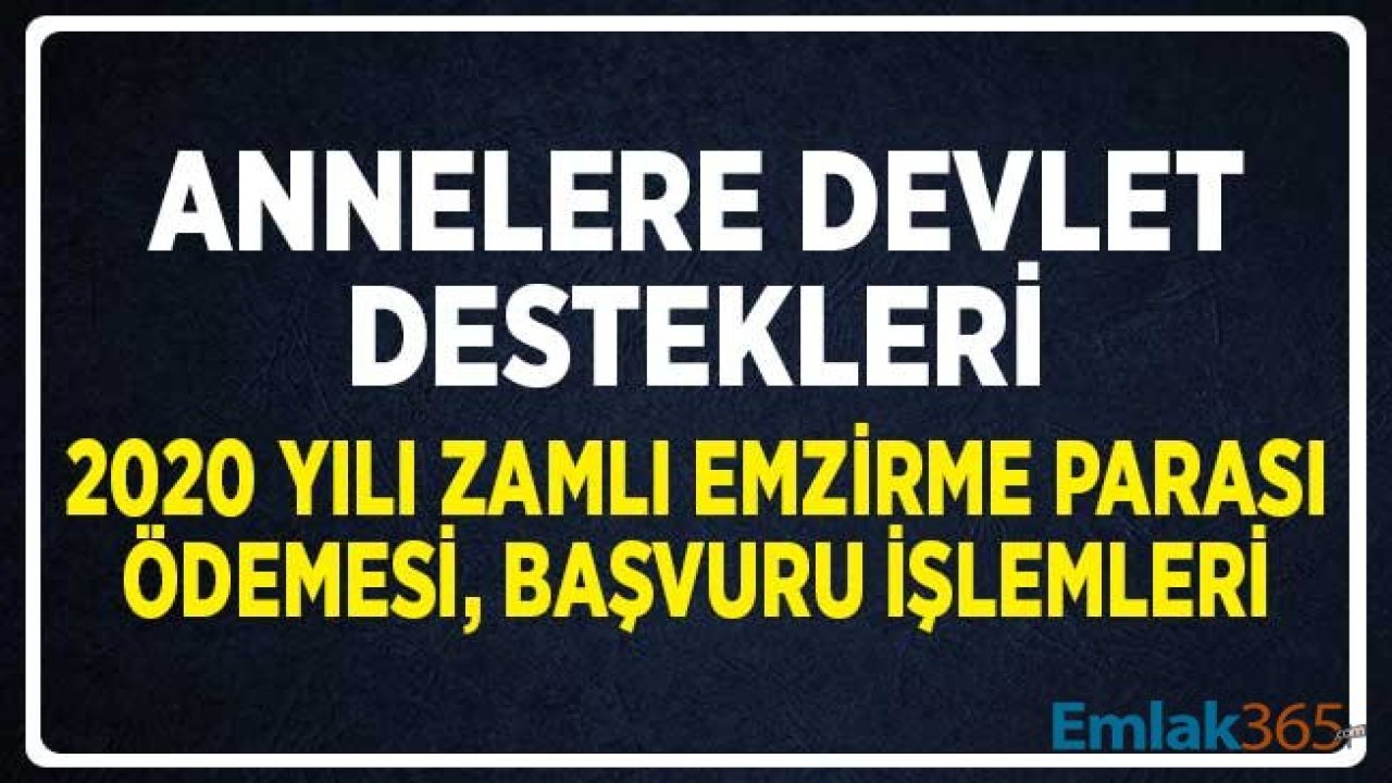 Annelere Devlet Destekleri: 2020 Yılı Zamlı Emzirme Parası Ödemesi ve Başvuru İşlemleri