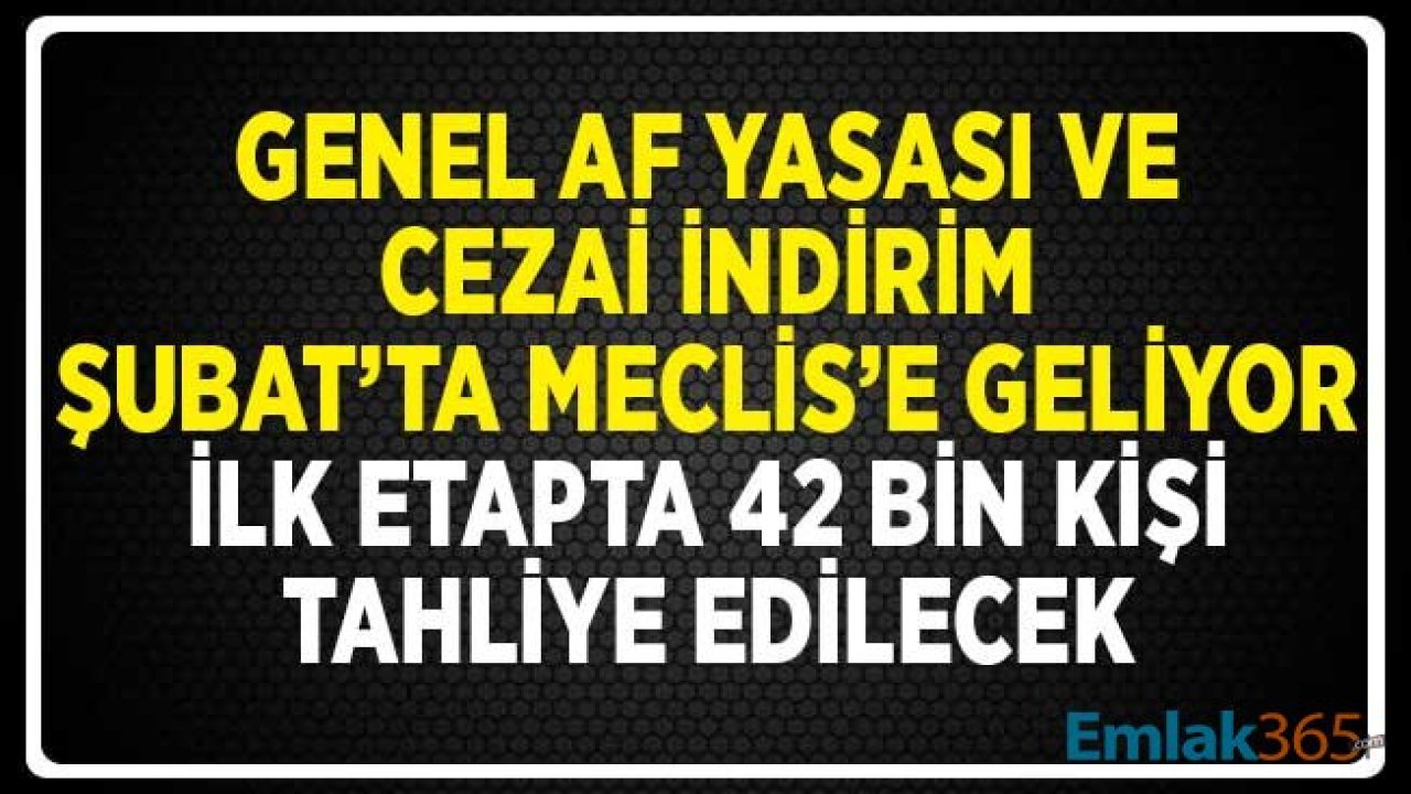 Genel Af Yasası ve Cezai İndirim Düzenlemesi Şubat'ta Meclis'e Gelecek