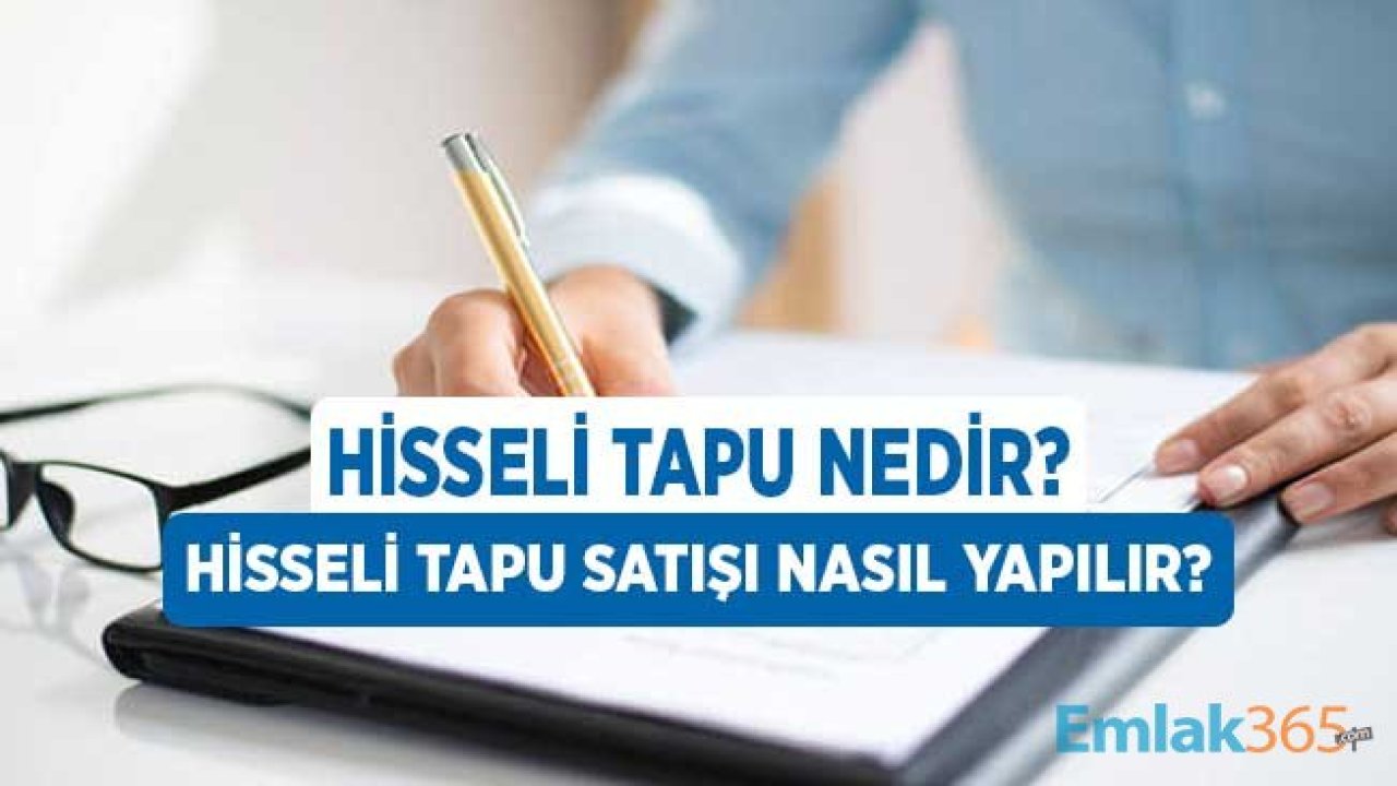 Hisseli Tapu Nedir? Hisseli Tapu Satış İşlemleri Nasıl Yapılır?