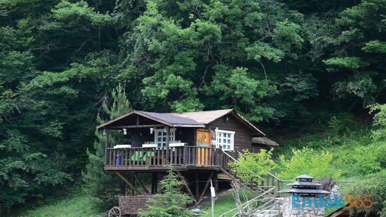 Oğuzhan Koç Yeni Albüm Çalışmaları İçin Bolu 'da Kütük Ev Kiraladı!