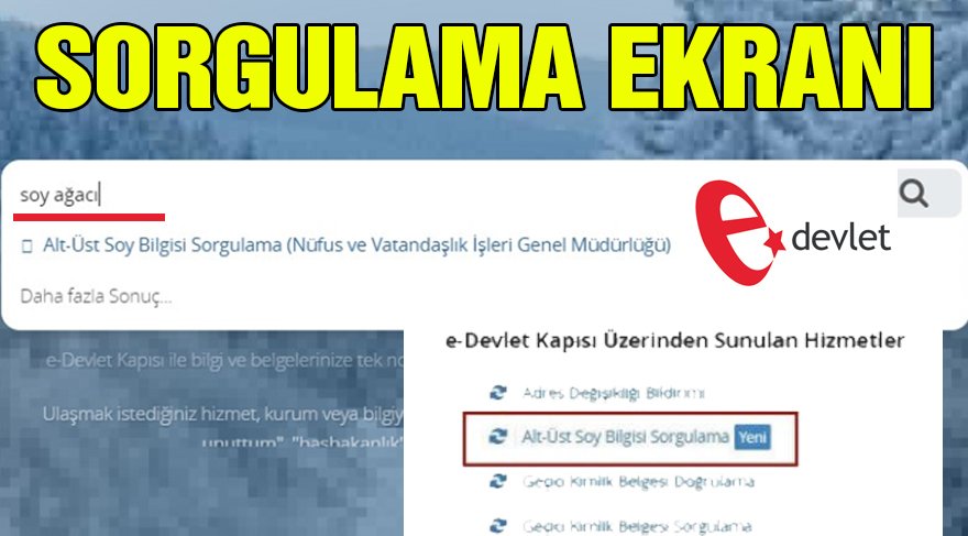 O Uygulamaya Kota Geliyor!