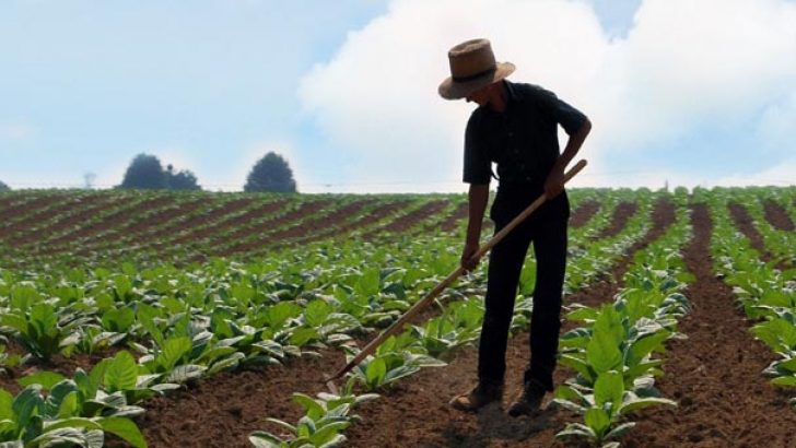 Genç Çiftçi Projesi 2018 30 Bin Lira Hibe Kredi Başvuruları Devam Ediyor