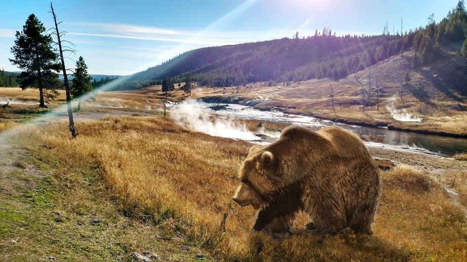 Yellowstone Ulusal Parkı Muhteşem Güzelliği İle Büyülüyor