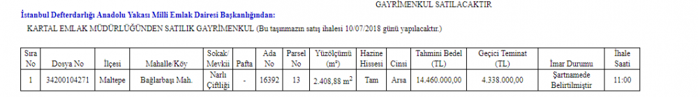 Resmi Gazete 'de 29 Haziran 2018 Tarihli Taşınmaz İhale İlanları Duyuruları