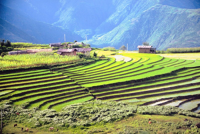 Bhutan Gezi Rehberi