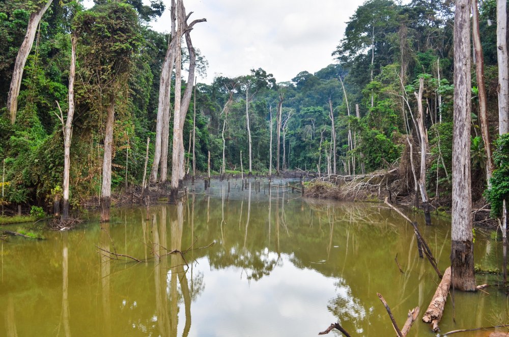 Gabon Gezi Rehberi