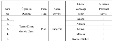 Türk Standartları Enstitüsü TSE Sözleşmeli Personel Alımı İlanı Yayımlandı!