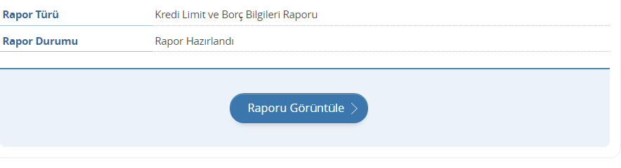 Ücretsiz E Devlet Findeks Kredi Notu Risk Raporu Sorgulama Nasıl Yapılır?