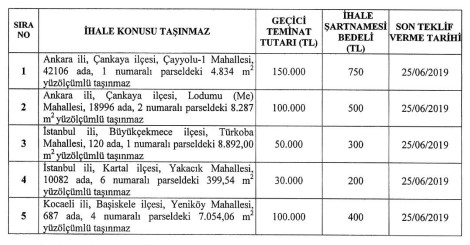 Hazine ve Maliye Bakanlığı Özelleştirme İdaresi Başkanlığı İhale Duyurusu