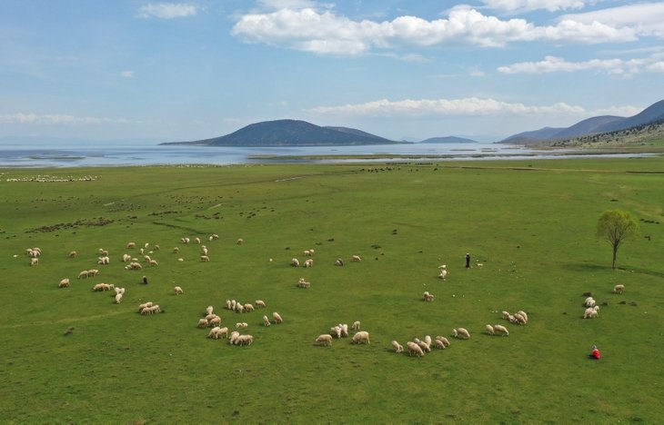 Isparta Mada Adası Satılık Arsa ve Ev İlanları İçin Aranmaya Başlandı!