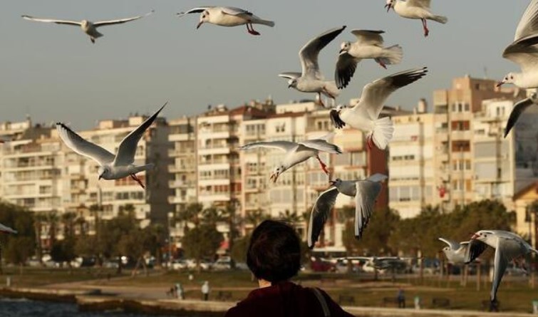 Bu İllerde Evi Olanlar Yaşadı! Konut Fiyatları En Çok Hangi İllerde Arttı?