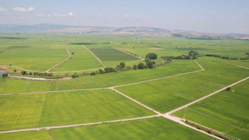 Tarla, Bahçe ve Arsa Fiyatlarına Yüzde 20 Korana Virüs Zammı Geldi!