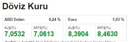 TL Değer Kaybı Yaşadı, Dolarizasyon Tehdidi ve Enflasyon Riski Arttı! Türkiye Cumhuriyet Merkez Bankası Faiz Yükseltir Mi, Faizler Yükselirse Dolar ve Altın Ne Olur?