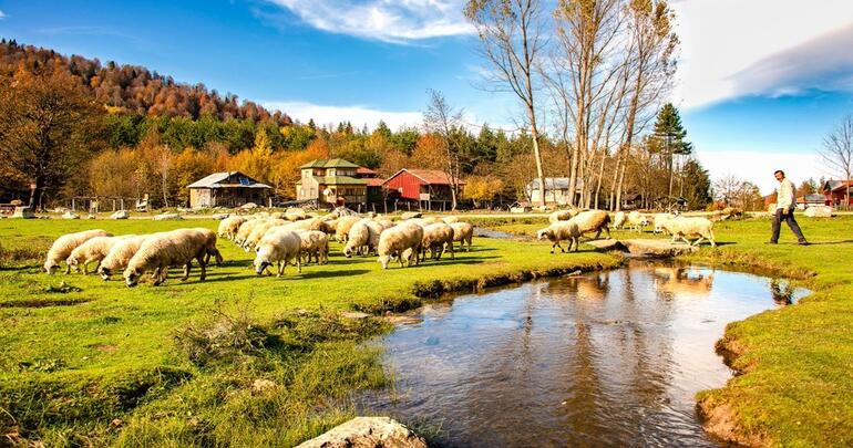 Bu Mevsimde Sakin Bir Tatil Yapılabilecek En Güzel Karadeniz Yaylaları!