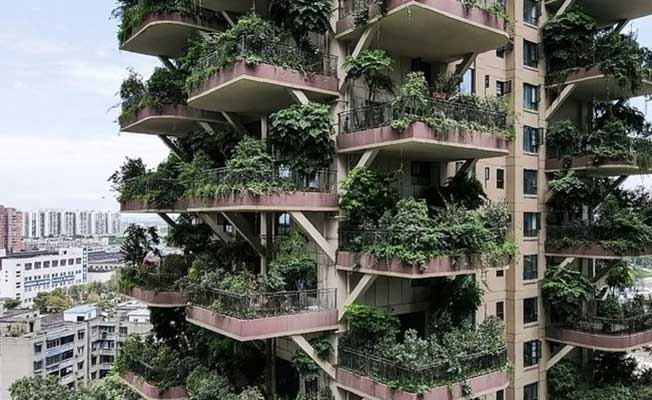 Yeşil Konut Projesi Felakete Dönüştü! Balkonlar İstila Edildi