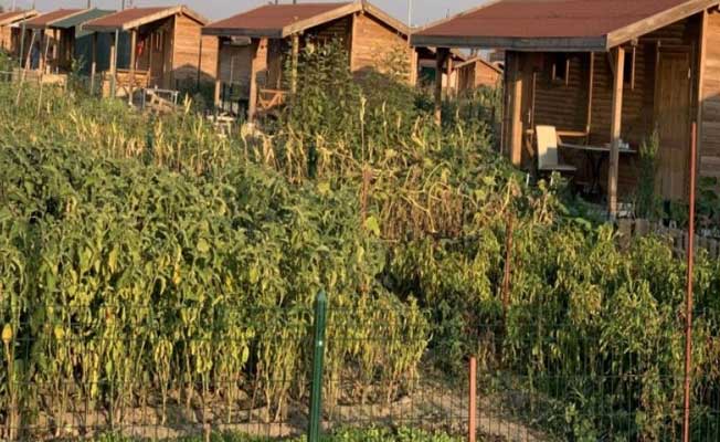 Son Dakika: AK Parti'den Flaş Hobi Bahçesi Açıklaması: Hobi Bahçeleri Yıkılacak! Hangi Hobi Bahçeleri Yıkılıyor?