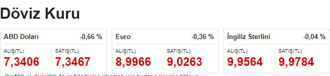 TL'de Ralli Fırtınası Hızlandı, Borsa Coştu, Dolar ve Euro Kuru İle Altın Fiyatları Düştü!