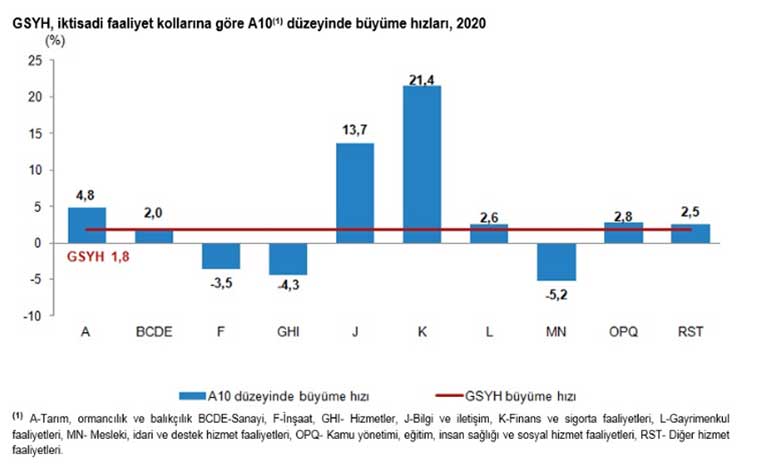 TÜİK 2020 Büyüme Rakamları Raporunu Yayımladı, Türk Ekonomisi Çin'den Sonra İkinci Oldu