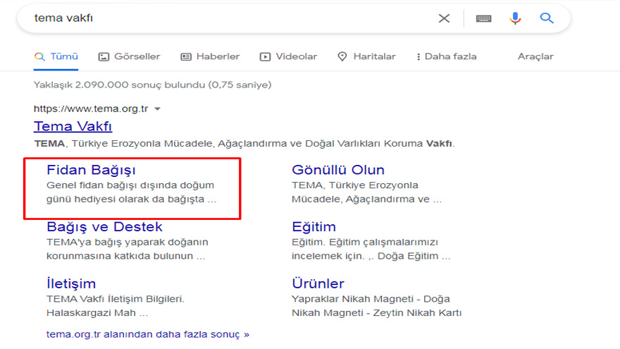 TEMA Fidan Bağışı Nasıl Yapılır, Orman Yangını TEMA Vakfı Bağış Ücreti İle Bir Fidan Kaç TL?