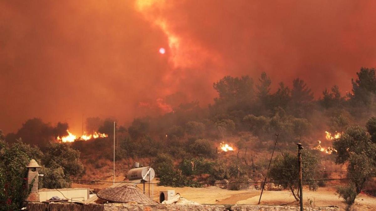 Muğla, Bodrum ve Marmaris'te Kaç Hektar Orman Yandı, Yangın Devam Ediyor Mu, Son Durum Ne?