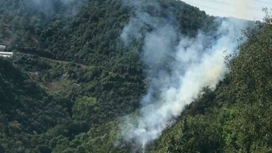 Son Dakika: İzmir Foça ve İstanbul Sarıyer'den Yeni Orman Yangını Haberi Geldi!