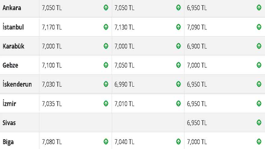 Çimento Grevinden Dönen Müteahhitlere Demir Fiyatları Şoku! Dolar Alev Aldı, Demir Fırladı