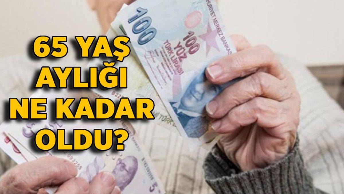 65 Yaş Üzerine Devletten 827 TL Maaş! Yaşlılık Aylığı Şartları Neler?