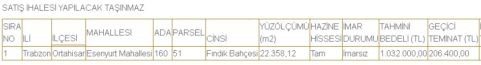 Trabzon'da Hazine Mülkiyetinde 22 Bin 358 m2 Fındık Bahçesi Satışa Çıkarıldı