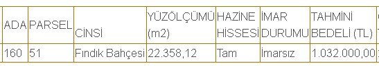 Yanlış Görmüyorsunuz m2'si 5 TL! Boş İmarsız Devlet Arazileri İnanılmayacak Fiyatlara Satış Tablosunda! Kaçırmayın