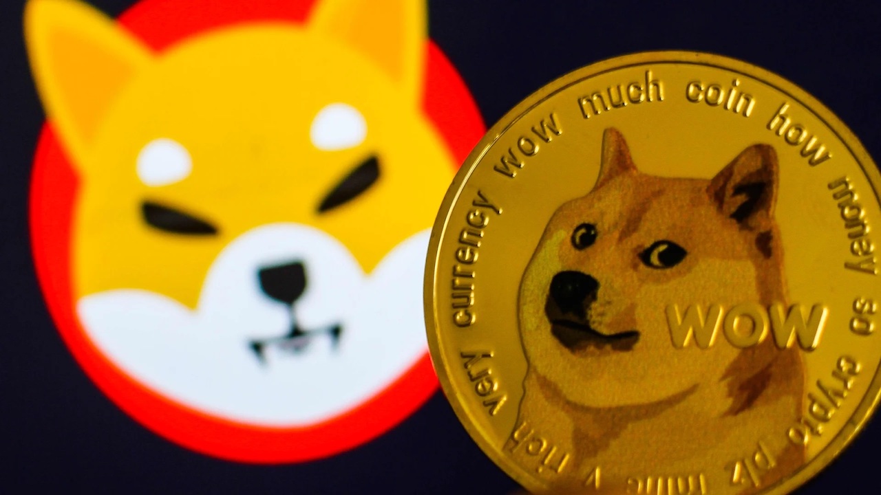 Binance Balinaları Harekete Geçti! Balinalar Rekor Sayıda Altcoin Alarak Yeni Sinyaller Verdiler!