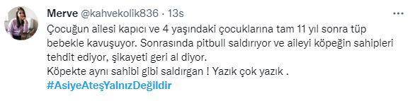 Bir Pitbull Dehşeti Daha! Gaziantep'te 4 Yaşındaki Kız Çocuğuna Saldırdılar Hayati Tehlikesi Var