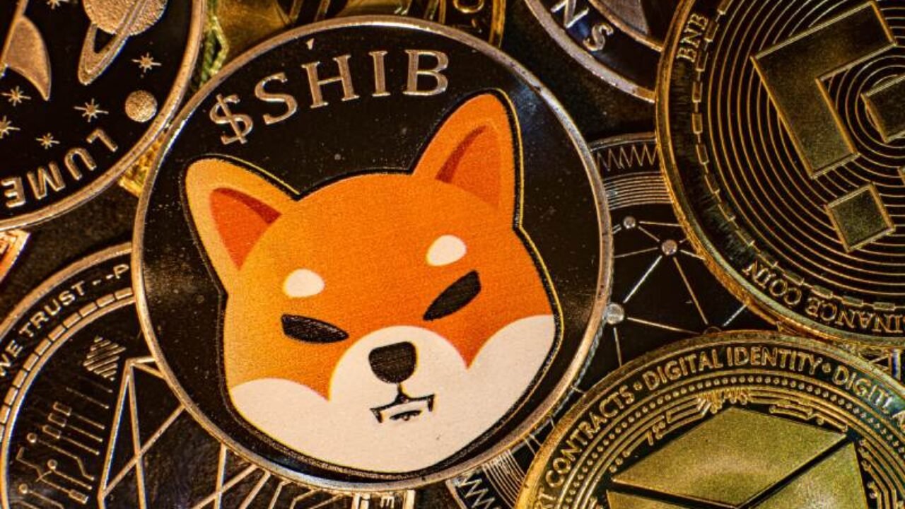 Dev SHIB Balinasından Şaşırtan Hamle: Bilinmeyen Altcoinden Satın Aldı!